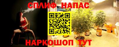 ГАЛЛЮЦИНОГЕННЫЕ ГРИБЫ Апшеронск